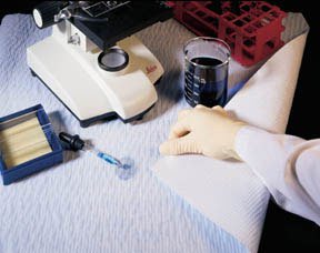 Absorbent Under Pad Roll Fisherbrand®