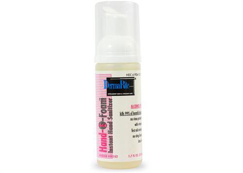 Alcohol-Free Hand Sanitizer Hand-E-Foam® 8 oz. Benzethonium Chloride Foaming Pump Bottle