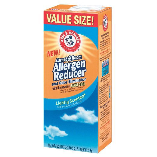 Deodorizer Arm & Hammer™ Powder 42.6 oz. Box Mild Scent
