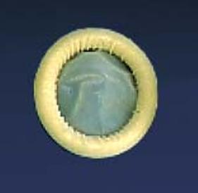 Ultrasound Probe Cover Ultra Cover™ 2 X 7-1/10 Inch Latex NonSterile Rolled