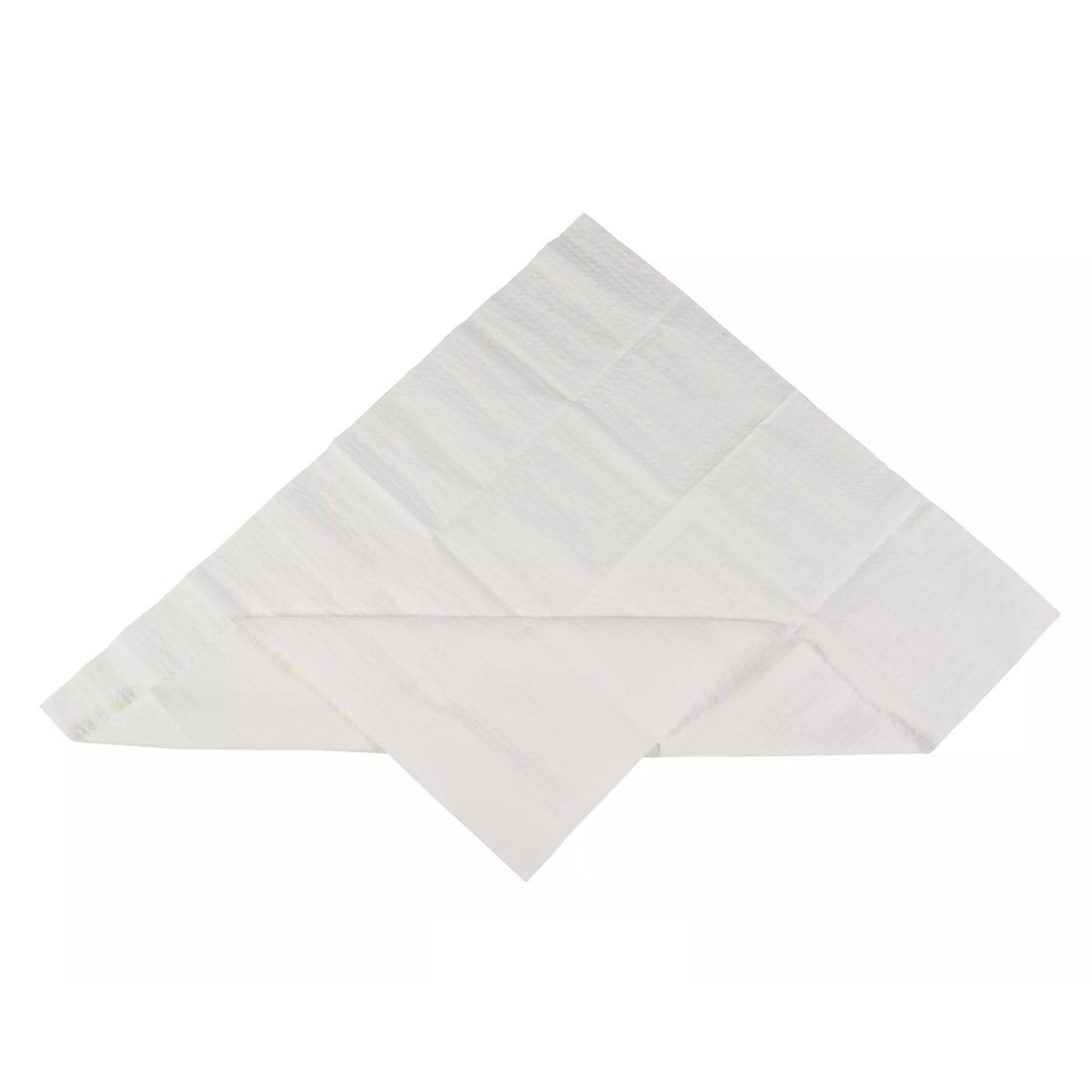 Sterilization Tray Liner 19-1/2 X 23 Inch, Absorbent
